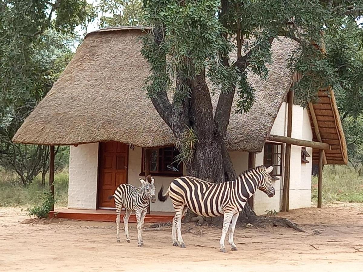 Вілла Wild Ride Safaris And Bush Camp Гудспрейт Екстер'єр фото