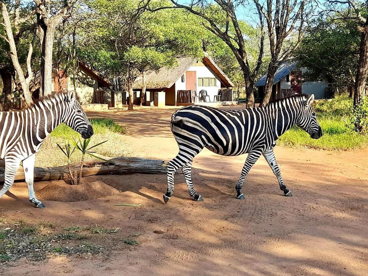 Вілла Wild Ride Safaris And Bush Camp Гудспрейт Екстер'єр фото